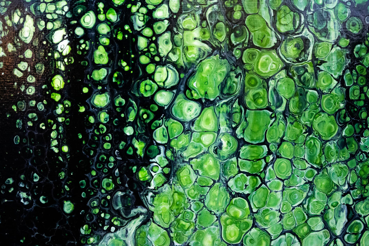 BREATH OF MOSS