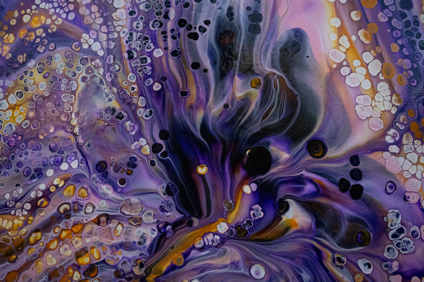 LILAC BLOOM