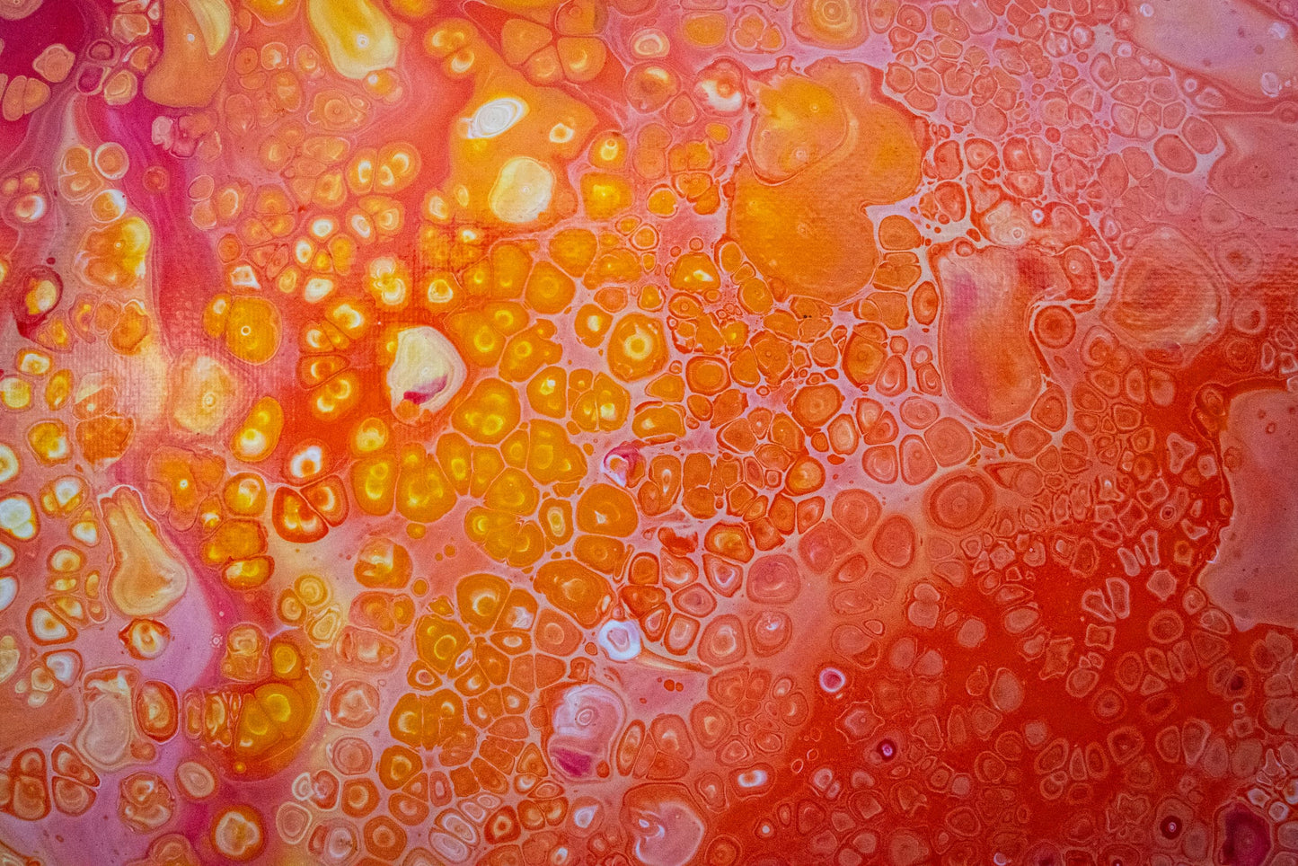TANGERINE FLAME