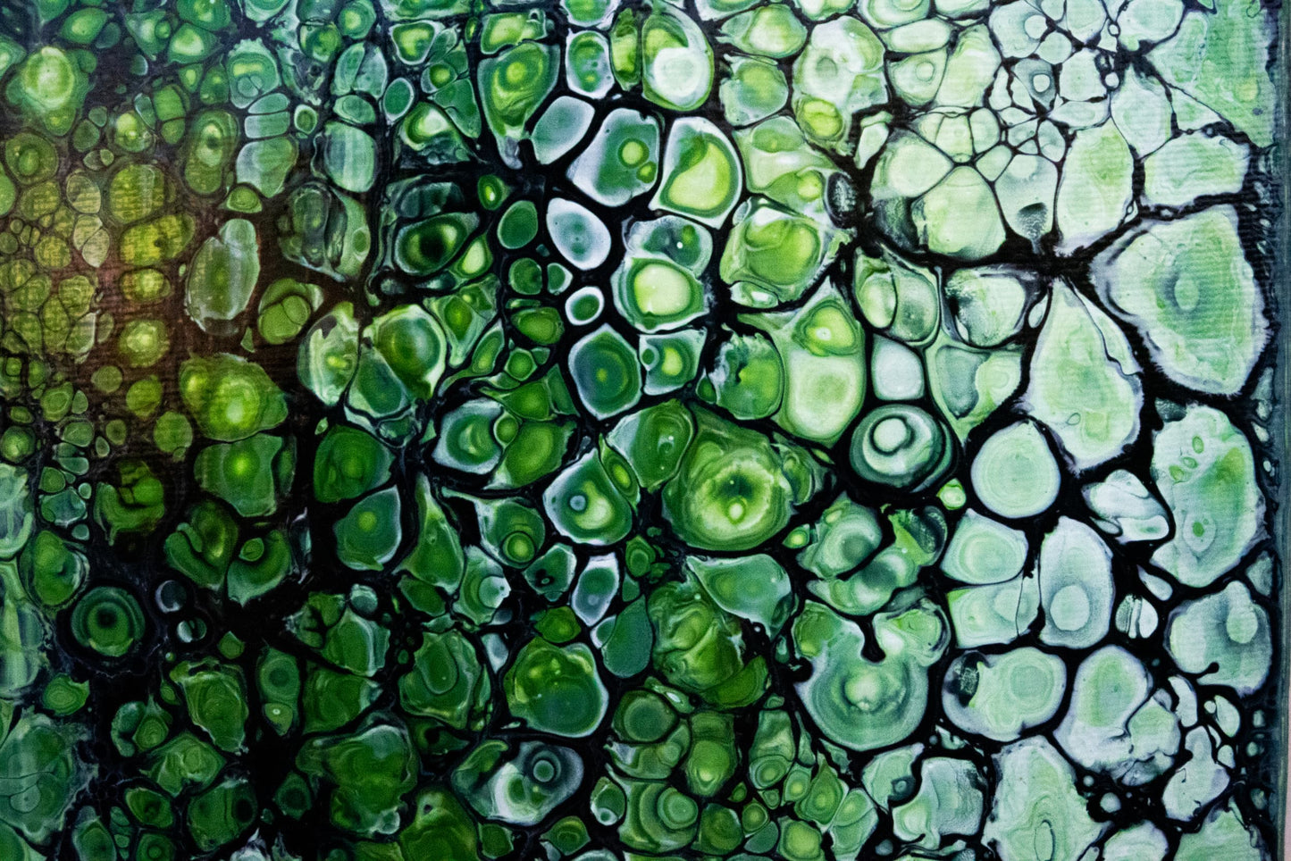 BREATH OF MOSS