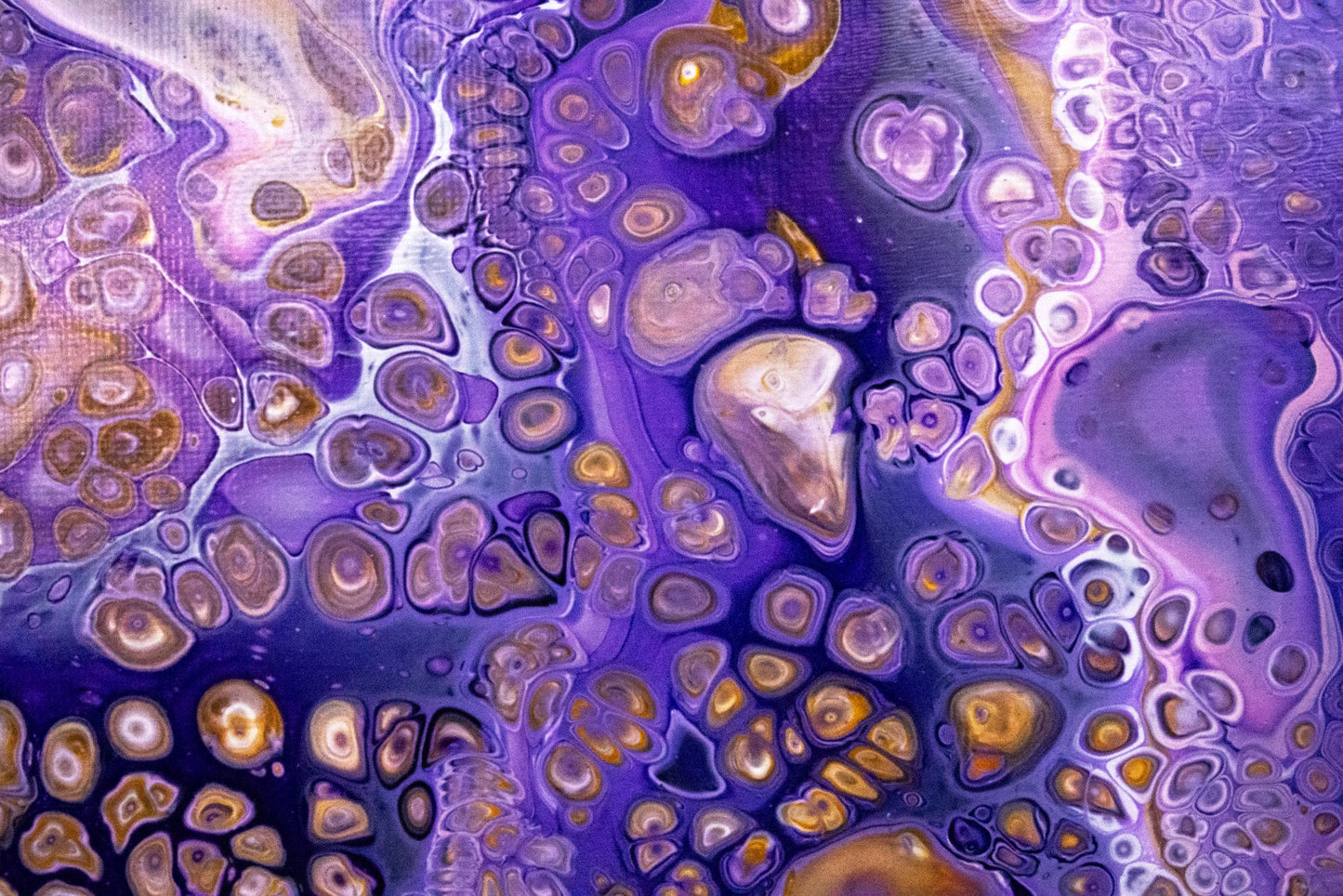 CASSIOPEIA