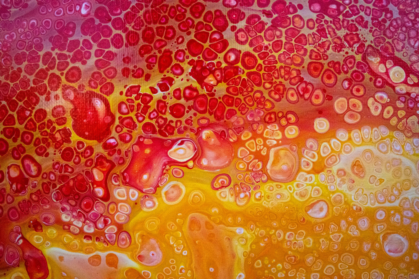 TANGERINE FLAME